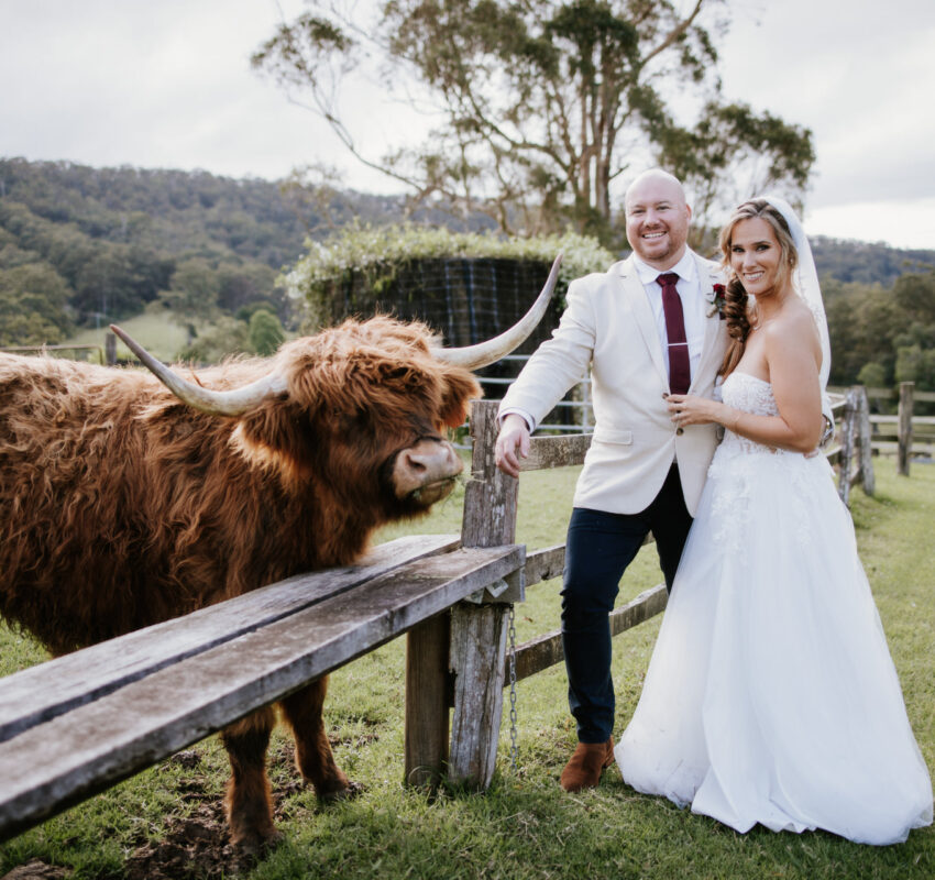 Cowbell Creek Wedding