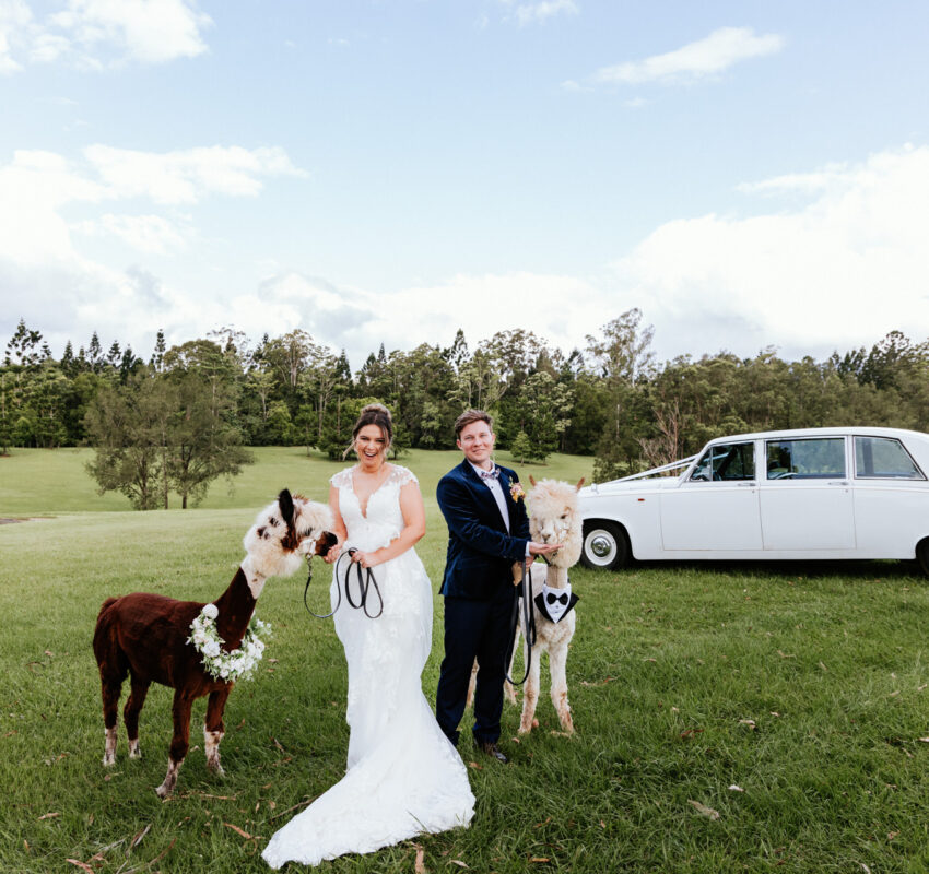 Crams Farm Wedding